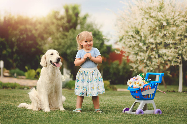 Malá roztomilá dívka hraje s velkým psem - Fotografie, Obrázek