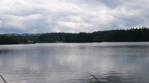 Pan view of village pond. Country pond - Filmati, video