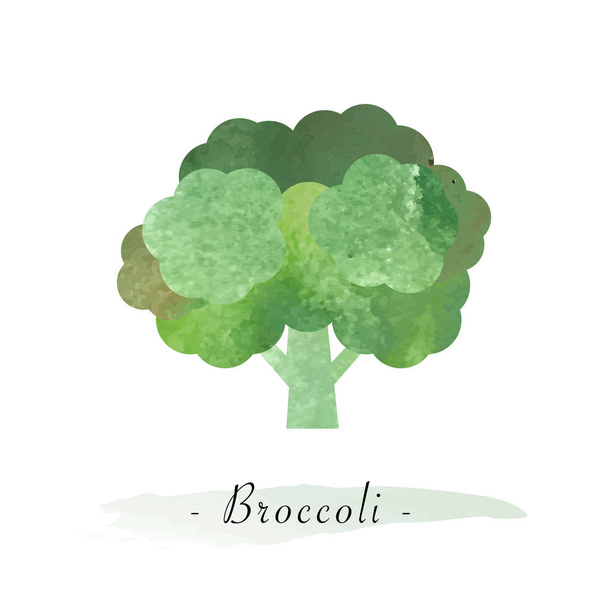 Colorful watercolor texture vector healthy vegetable broccoli - Διάνυσμα, εικόνα