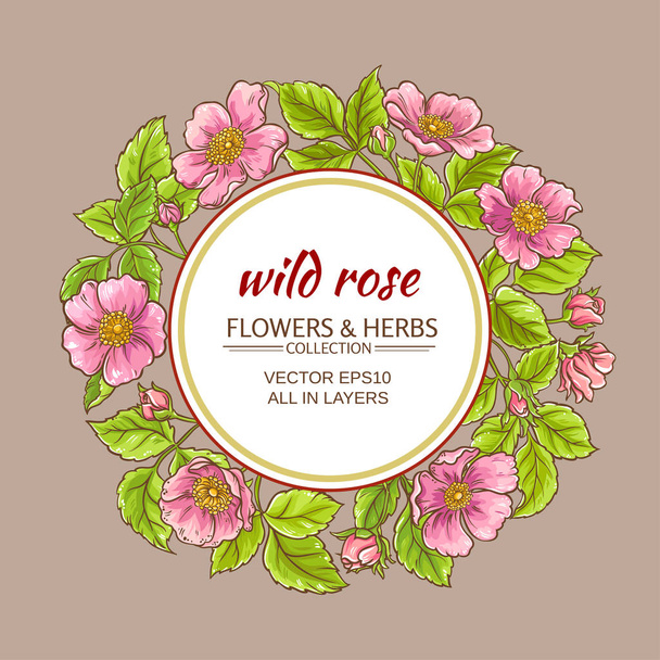 wild rose flowers frame - Vektor, obrázek