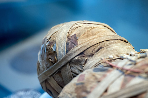 Egipcia momia cabeza de cerca
 - Foto, Imagen
