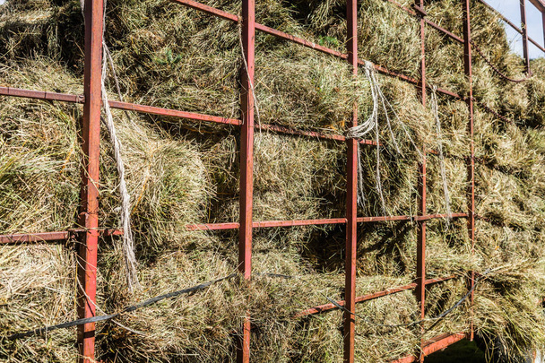 Dry Hay Stacks into a Transportation Truck - Фото, изображение