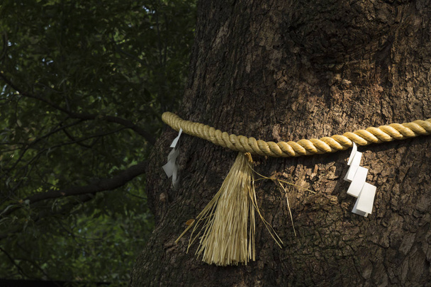 Cuerda de paja de arroz japonés con talismanes de papel plegado
 - Foto, Imagen