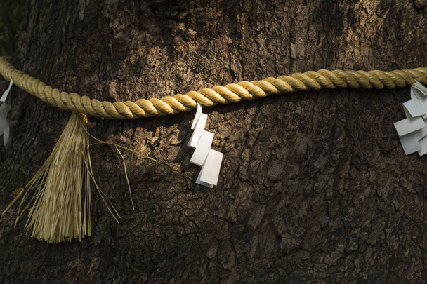 Corda di paglia di riso giapponese con talismani di carta piegati
 - Foto, immagini