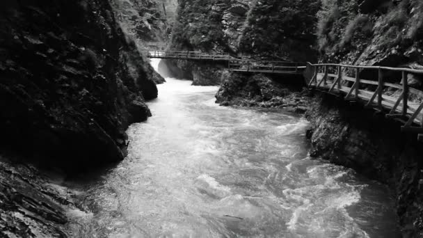 Fließender Fluss in der Vintgar-Schlucht, Slowenien - Filmmaterial, Video