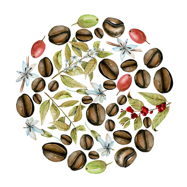 Кругла ілюстрація з акварельних гілок кави, квітів і бобів на різних стадіях дозрівання
 - Фото, зображення