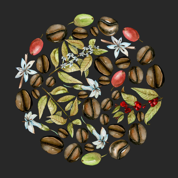 Cercle illustration à partir de branches de café aquarelle, fleurs et haricots à différents stades de maturation
 - Photo, image