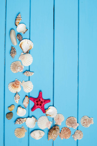 Marco de conchas marinas sobre fondo de madera azul
 - Foto, imagen