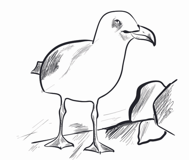 Seagull in the sunny day - Vector, Image