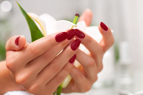 Manicure concept. Beautiful woman's hands with perfect manicure at  beauty salon. - Foto, Imagem