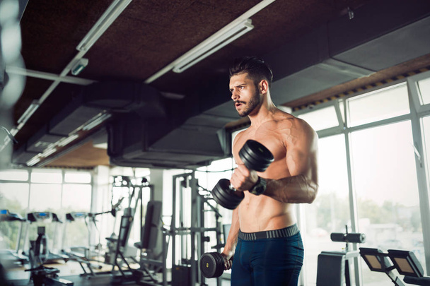 Muscular bodybuilder workout in gym doing biceps exercises - Valokuva, kuva