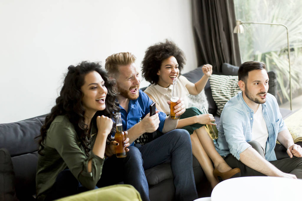 Vrienden, Tv kijken en cider drinken - Foto, afbeelding