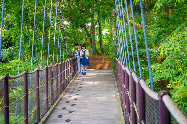 HAKONE, JAPAN - JULY 02, 2017: Unidentified people walking in the bridge at Hakone open air museum - Zdjęcie, obraz