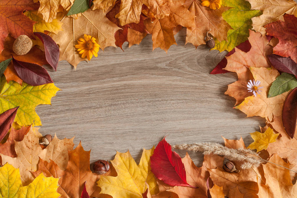 Frame of autumn leaves - Photo, Image