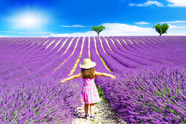 A little girl walks between the lavender fields in Provence  - Fotoğraf, Görsel