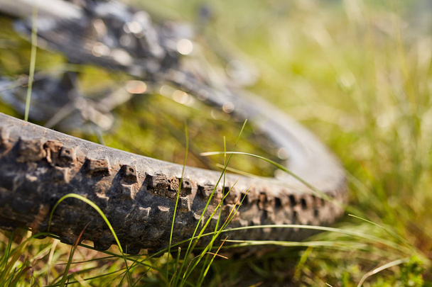Bicycle Wheel In The Summer Green Grass Meadow Field. - Φωτογραφία, εικόνα