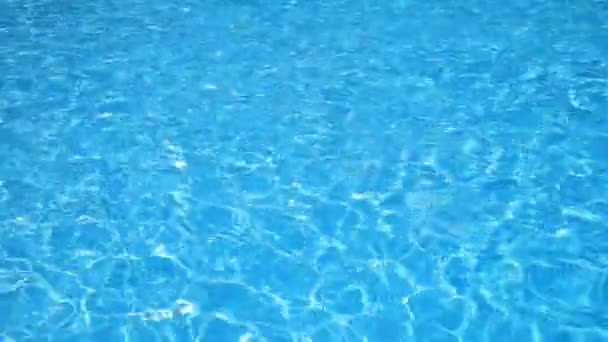 驚くほどのクリスタル ブルーの水。美しく明るい水の色.  - 映像、動画