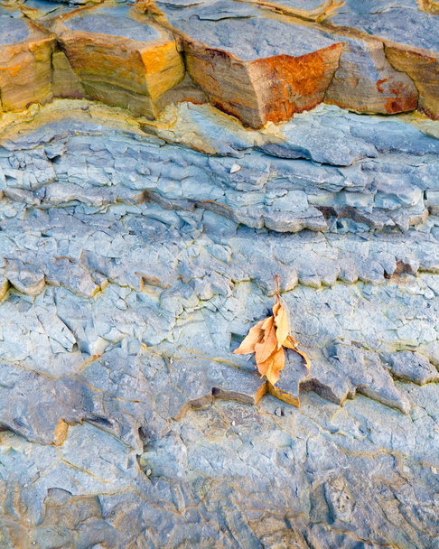 Colorfull sziklái - Fotó, kép