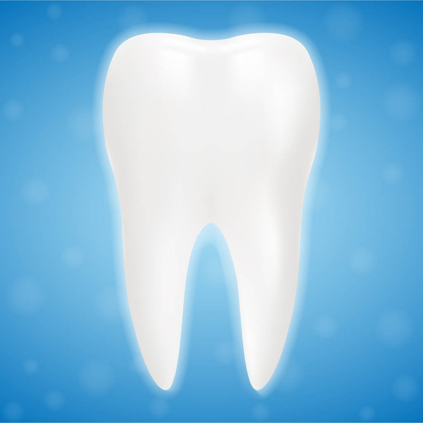 Clean And Glossy 3d Realistic Teeth Isolated On A Background. Realistic Vector Illustration. - Vektor, obrázek