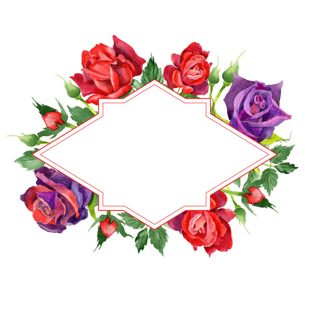 Wildflower rose flower frame in a watercolor style. - Фото, изображение