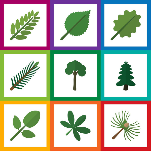 Flat Icon Natural Set Of Evergreen, Park, Alder And Other Vector Objects. Also Includes Acacia, Leaf, Tree Elements. - Vektori, kuva