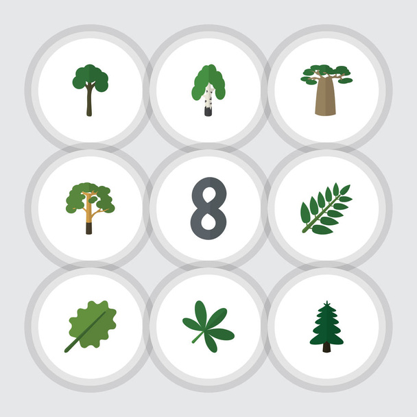 Flat Icon Ecology Set Of Alder, Park, Wood And Other Vector Objects. Also Includes Oak, Wood, Evergreen Elements. - Vektori, kuva