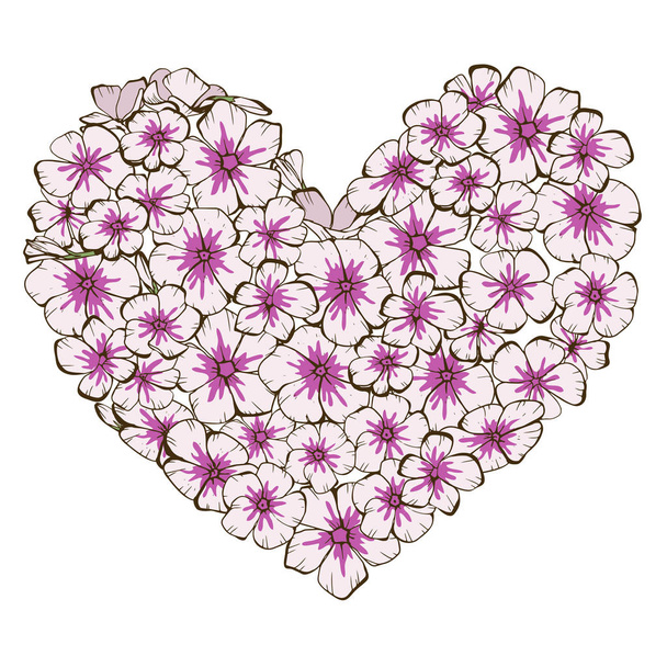 Heart of pink and violet phlox flowers isolated on white background. Vector illustration. - Вектор, зображення