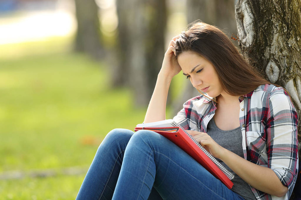 Attentive student memorizing notes outdoors - Foto, Imagen
