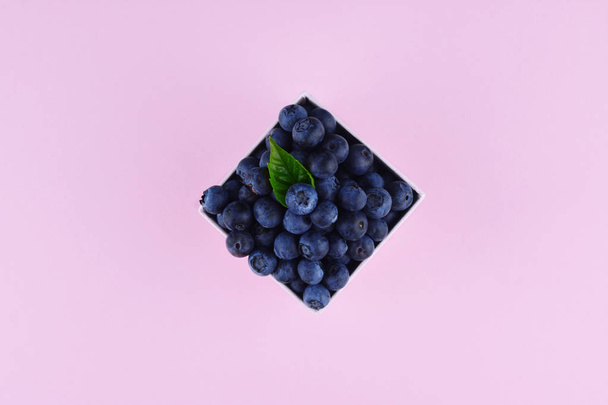 Freshly picked blueberries on pink background. - Fotoğraf, Görsel