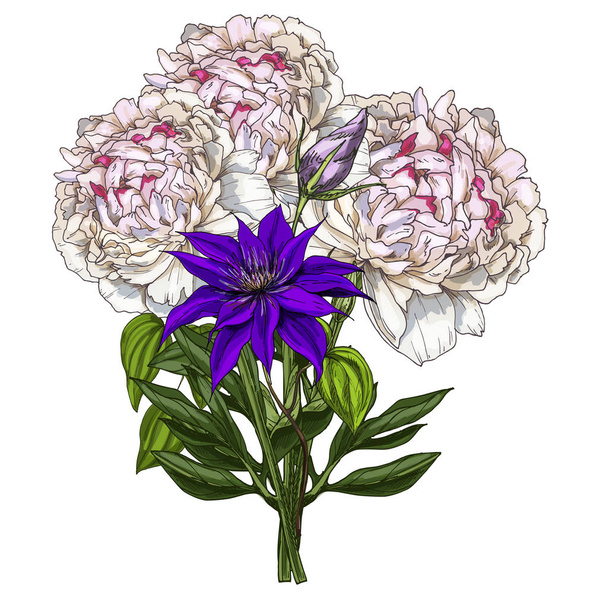 Hand drawn bouquet of peony and wild field flower isolated on white background. Botanical vector illustration. - Vektori, kuva