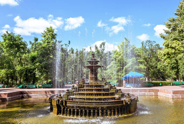 Central park met fontein waterbassin - Foto, afbeelding