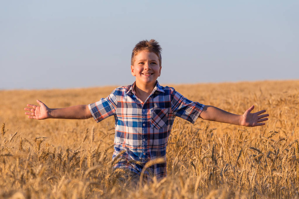 young boy running on ripe wheat field - Fotoğraf, Görsel