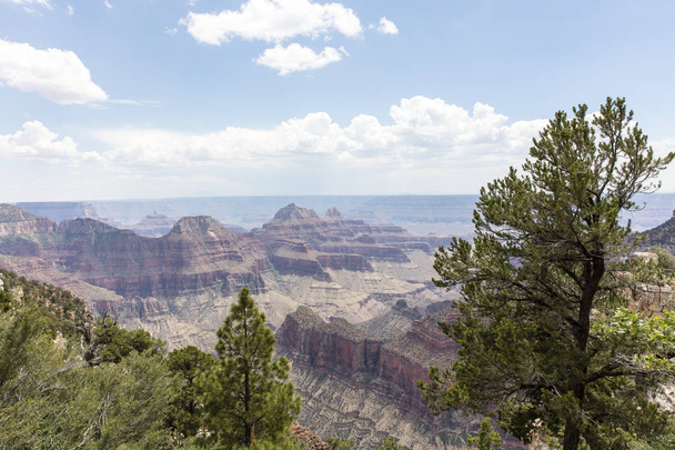 Schilderachtig uitzicht op de Grand Canyon North Rim - Foto, afbeelding