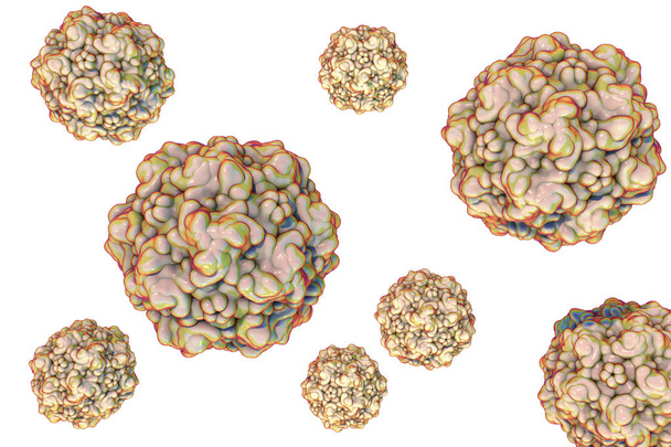 Kissan panleukopeniavirus
 - Valokuva, kuva