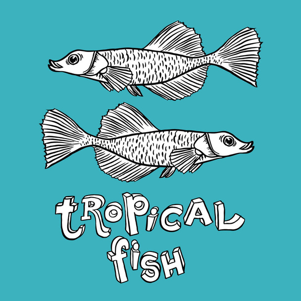 Tropické ryby - ruční vektorové ilustrace - Vektor, obrázek