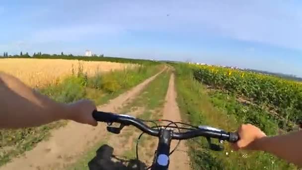 Une fille a roulé sur une route à travers un champ de blé vert
 - Séquence, vidéo