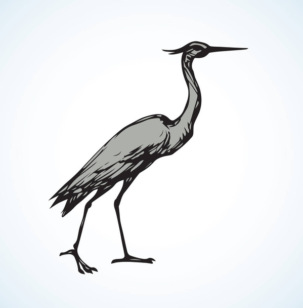 Stork. Vector drawing - Vector, Image
