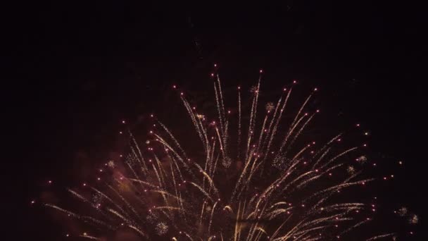 Varied Colorful Fireworks, 180 fps Real SlowMo - Footage, Video