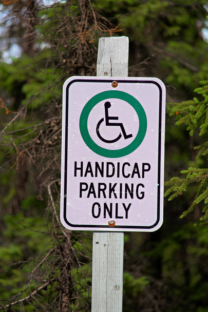 A handicap parking only sign with trees in the background - Photo, Image