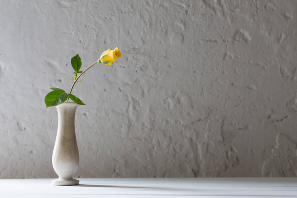 roses in vase on old white background - Foto, imagen