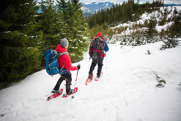 Два альпиниста в горах зимой
. - Фото, изображение