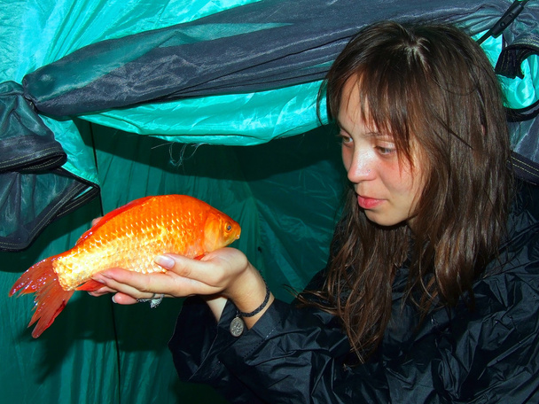 Zlatá ryba - Fotografie, Obrázek