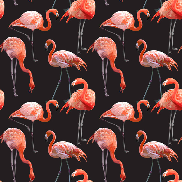 Padrão de Flamingo Vector sem costura
 - Vetor, Imagem