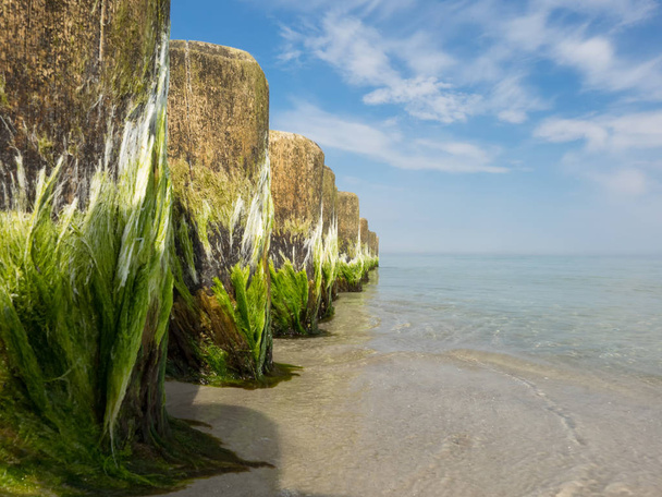 Close-up of breakwaters in the Baltic Sea - Photo, Image