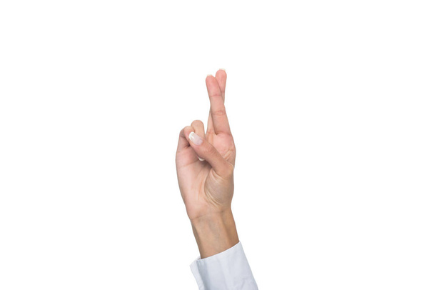 person gesturing signed language - Fotografie, Obrázek
