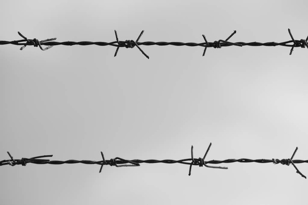 Fekete-fehér: Elölnézete és szögesdrót kerítés közelről  - Fotó, kép