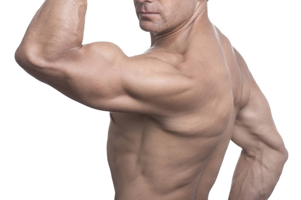 Torso del hombre musculoso posando sobre fondo blanco
 - Foto, imagen