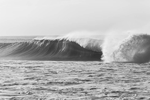 Wave Ocean Power zwart wit - Foto, afbeelding
