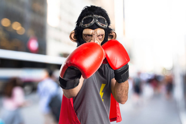 Homme singe super-héros avec gants de boxe
 - Photo, image