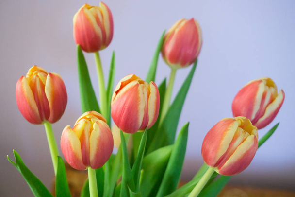 Украшения и аксессуары для счастливой Пасхи, в том числе цветы
, - Фото, изображение